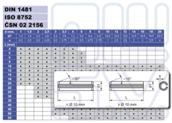 Spring pin 10x40 DIN 1481 Geomet